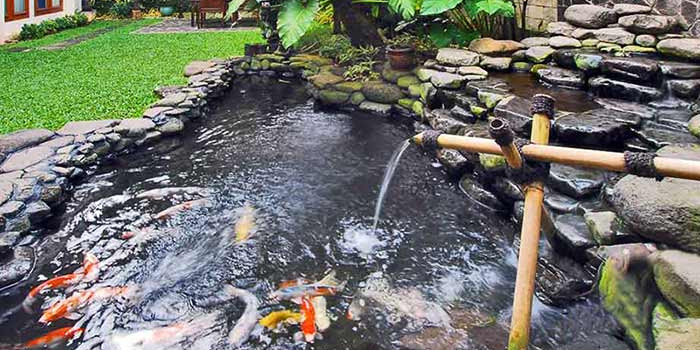 Chi tiết các vật liệu làm hồ cá koi an toàn