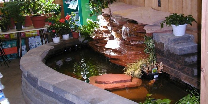 Cách làm hồ cá koi siêu đơn giản - Đúng kỹ thuật
