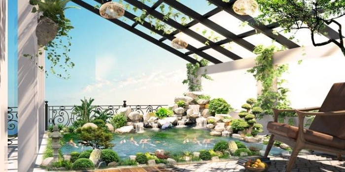 Muốn làm hồ cá Koi trên sân thượng không thể lơ là những điểm này