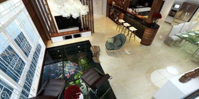 Khám phá cách làm hồ cá Koi trong nhà chuẩn không cần chỉnh