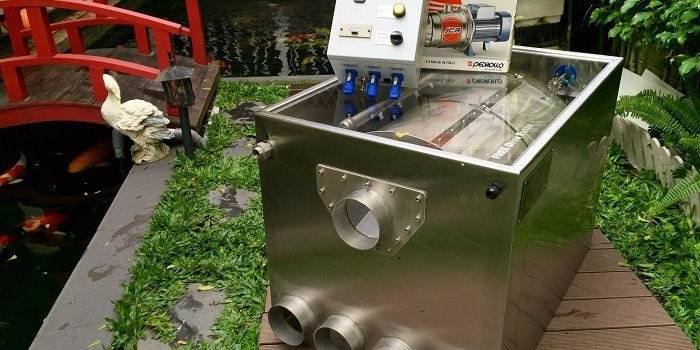 Dịch vụ tư vấn thiết kế hệ thống lọc nước hồ cá koi 2021