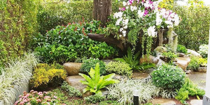 Các lưu ý trong thiết kế để có tiểu cảnh sân vườn đẹp