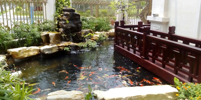 Đã tìm thấy công ty thi công hồ cảnh quan uy tín, chuyên nghiệp hàng đầu Việt Nam.
