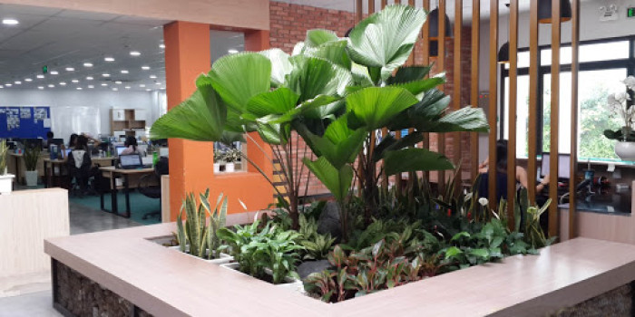 Dịch vụ thi công tiểu cảnh văn phòng, không xem hối hận