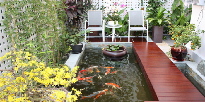Tổng hợp những thông tin cần thiết nhất khi thiết kế hồ cá koi trong nhà 