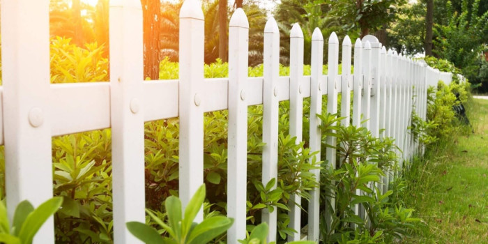 Cây trồng hàng rào: Giải pháp xanh tuyệt vời cho ngôi nhà của bạn