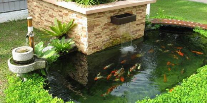Nhận thiết kế hồ cá Koi nhỏ theo yêu cầu