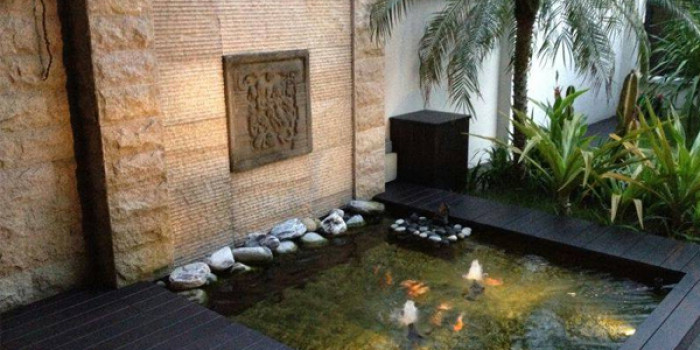 Những gì bạn cần biết về thiết kế hồ cá Koi mini ngoài trời