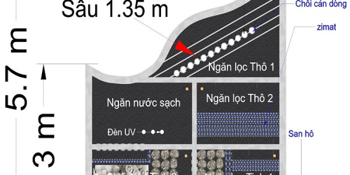 "Bể Ngọc" Tại Gia: Khám Phá 7 Xu Hướng Thiết Kế Hồ Cá Koi Đỉnh Cao 2025