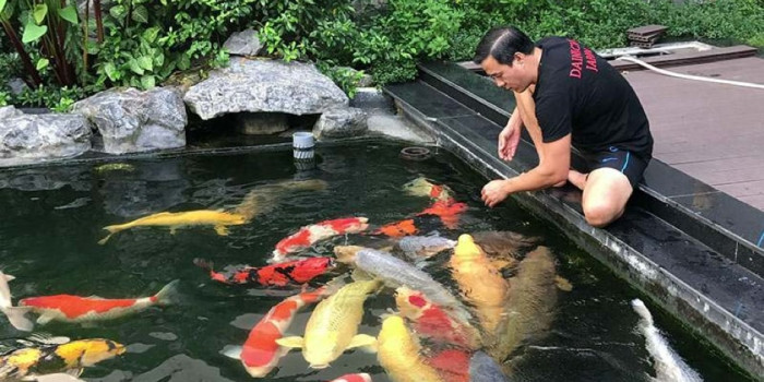 Dịch vụ thiết kế hồ cá koi biệt thự chuyên nghiệp, giá tốt 2021