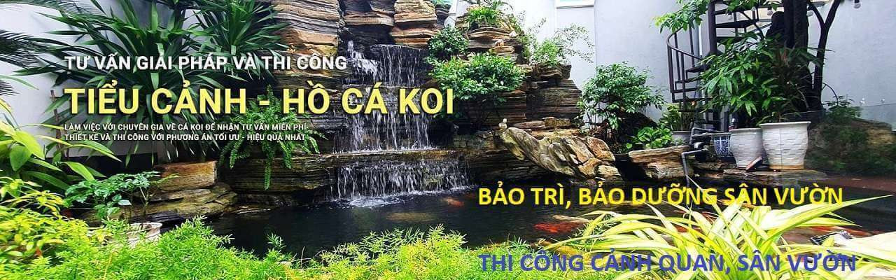 Thi công hồ cá koi