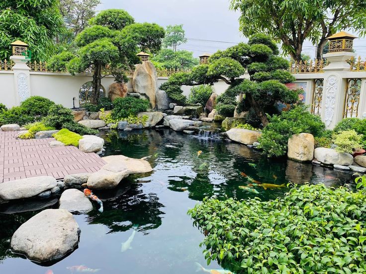 Thiết kế hồ cá koi "Sustainable Design"