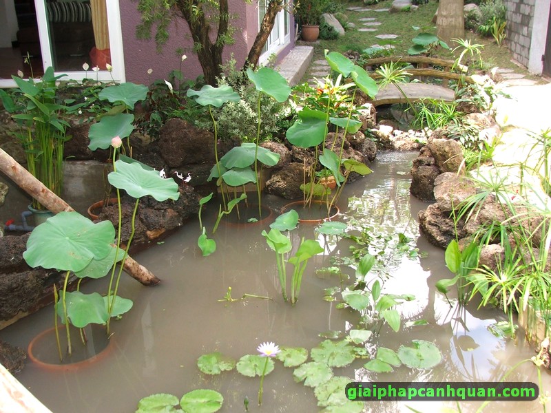 thi công sân vườn biệt thự Bình Tân 04