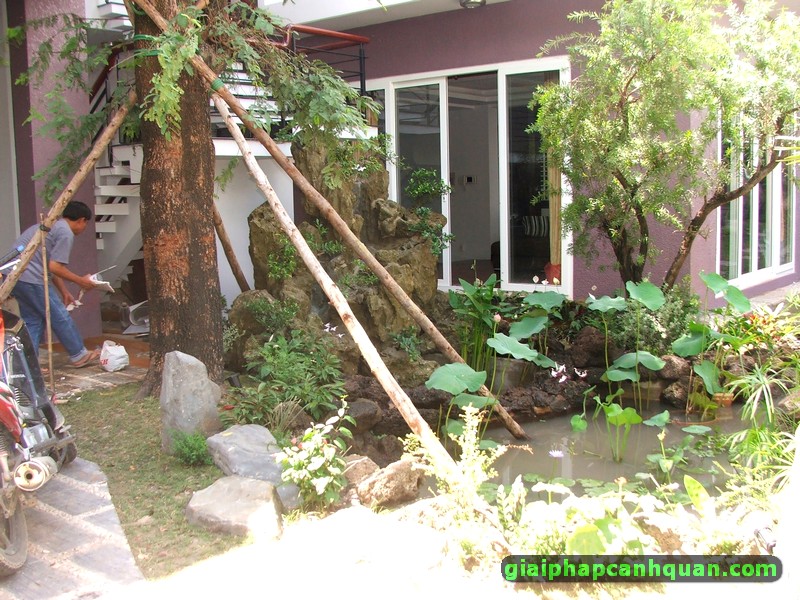 thi công sân vườn biệt thự Bình Tân 05
