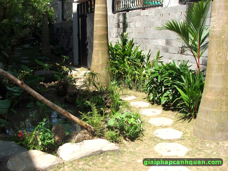 thi công sân vườn biệt thự Bình Tân 02