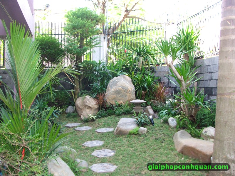 thi công sân vườn biệt thự Bình Tân 03