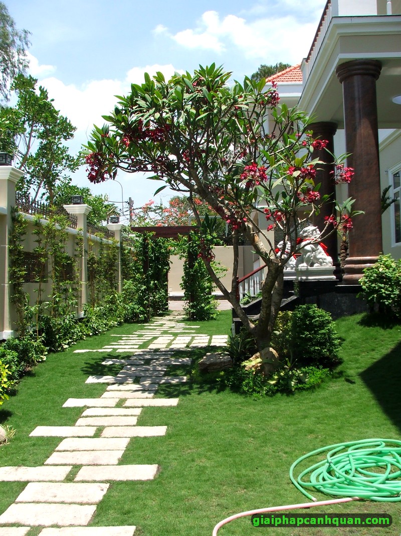 Thi công sân vườn Biệt thự 02