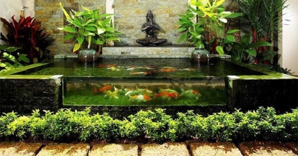 Tiểu cảnh sân thượng là một hồ cá koi.