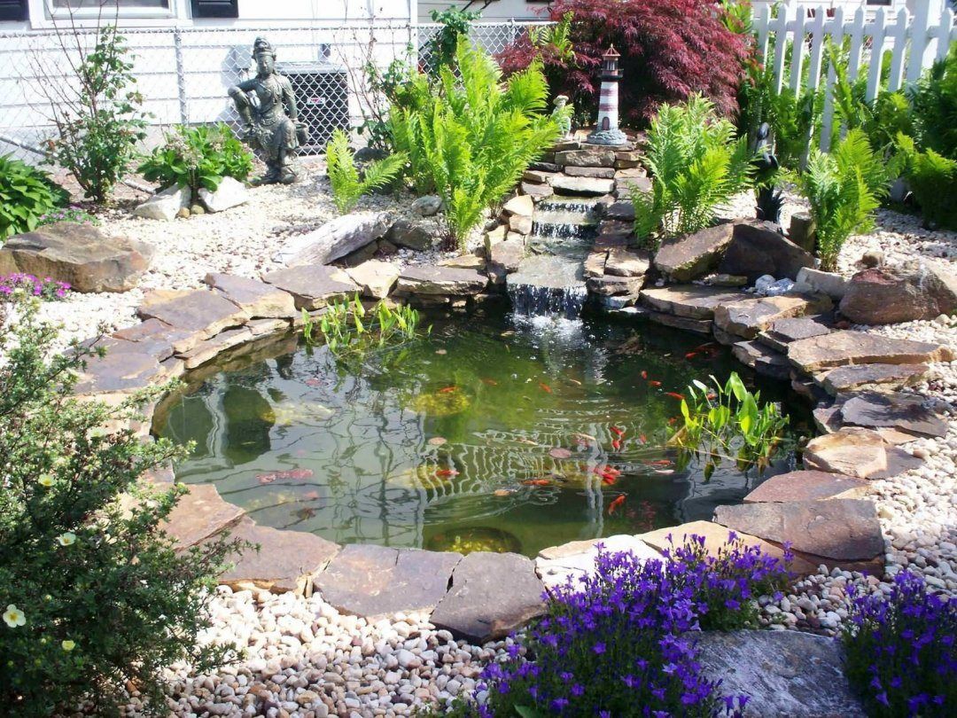 Thiết kế hồ  cá koi "Artistic Koi Pond Design"
