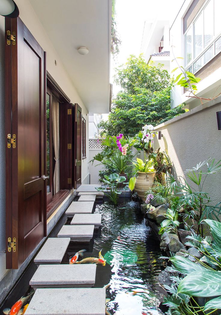Thiết Kế Hồ Cá Koi Mini Trong Nhà